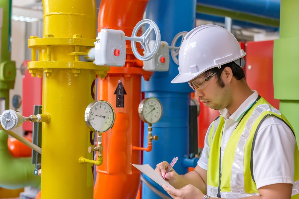 Audit and Inspection